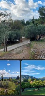 Mon coin de Provence petit-déjeuner offert - 7