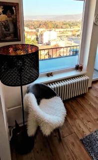 Tizza apartment - Modern flat above the city center - Niš - 1