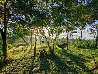 Erlittop Nature Lodge - 6