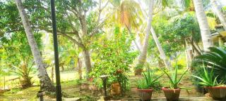 Traveller's Home Hotel - Tissamaharama - 4