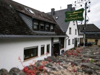 Chateau-de-la-Moselle - Kinheim - 5