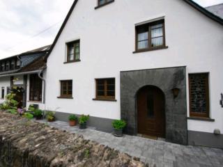 Chateau-de-la-Moselle - Kinheim - 7