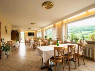Chateau-de-la-Moselle - Kinheim - 1