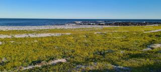 Oystercatcher Villa - 9
