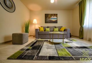 Iggy Luxury Apartment - Hunedoara - 9