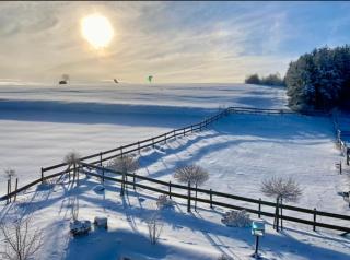 Landhotel Flora & Fauna - 3