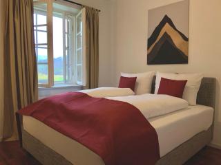 Edle Altbauwohnung trifft oberbayrisches Bergidyll - 9