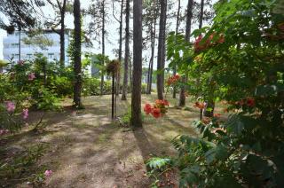 Villa Stefania - Lignano Sabbiadoro - 8