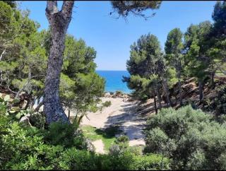Villa climatisée bord de mer avec piscine privée - Miami Platja - 7