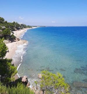 Villa climatisée bord de mer avec piscine privée - Miami Platja - 8
