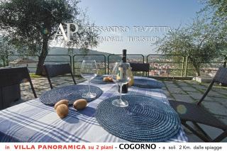 Villa tra gli ulivi - bellissima vista panoramica - San Salvatore - 1