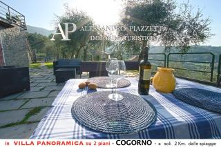 Villa tra gli ulivi - bellissima vista panoramica - San Salvatore - 8