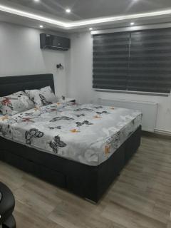 Adrijana 2 Apartmani - Vrnjačka Banja - 5