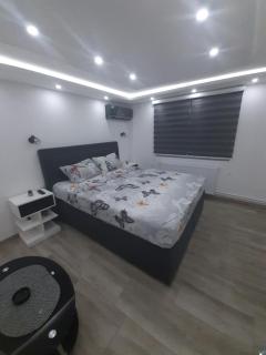 Adrijana 2 Apartmani - Vrnjačka Banja - 6