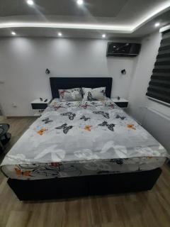 Adrijana 2 Apartmani - Vrnjačka Banja - 7