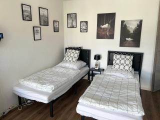 Stylische Ferienwohnung gratis WIFI nähe Bahnhof - Zwickau - 0