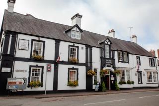 Three Salmons Hotel - Usk - 0