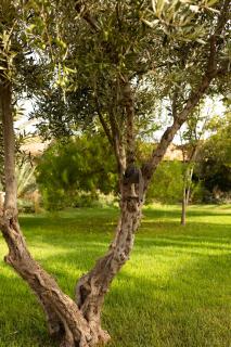Domaine Des Remparts Hotel & Spa - Marrakech - 7