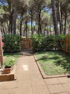 Appartamento mare e pineta - Marina di Grosseto - 9