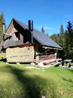 Brunarica na Goreljeku - Bohinj - 7