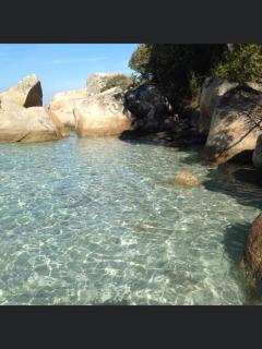 Appartement proche des plus belles plages - Porto-Vecchio - 5