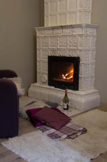 Flat in cottage close to the centre parking, WiFi, BBQ - Lviv - 7