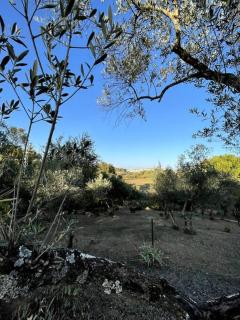 Villa María, casa rural en Cazalla de la Sierra. - Cazalla de la Sierra - 7