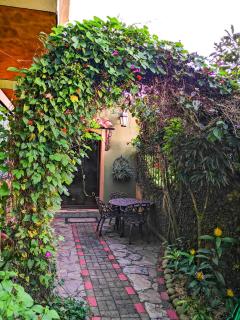 Casas del Toro - Monteverde - 3