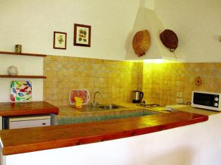 Farmhouse in Collesalvetti near Pisa - Guasticce - 7