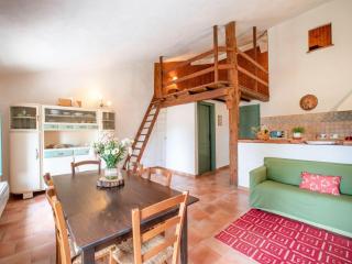 Farmhouse in Tuscany near Pisa & Beaches - Guasticce - 7