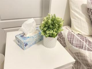 Beautiful Walk out Basement Apartment in Pickering near Beach - 6