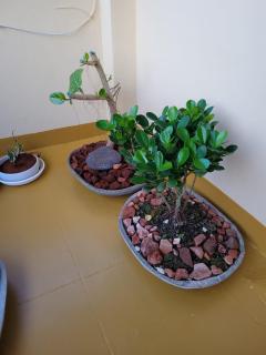 Sandy beach hotel - Trivandrum - 3