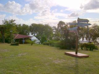 Color Garden - Studio Martinique - 6