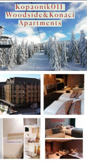Kopaonik011 Konaci&WoodSide Apartments - Kopaonik - 0