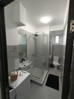 Vintage gray apartament - Braşov - 7