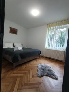 Vintage gray apartament - Braşov - 4