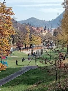 Vintage gray apartament - Braşov - 2