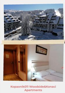 Kopaonik011 Konaci&WoodSide Apartments - Kopaonik - 5