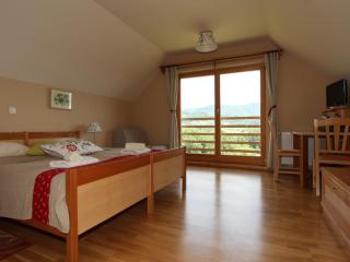 Relax Guest House Marjanca - Rogaška Slatina - 6