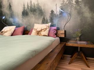 Black Forest Villa - Lahr - 5