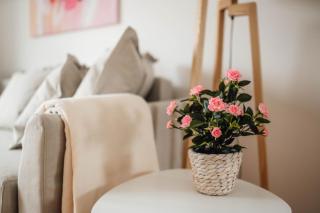 White Apartment - FREE PARKING - Liubliana - 8