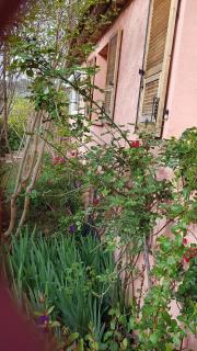 B&B Chez Lisa et Jeff - Ampus - 7