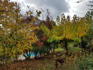 B&B Chez Lisa et Jeff - 5