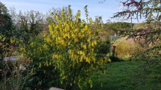 B&B Chez Lisa et Jeff - 4