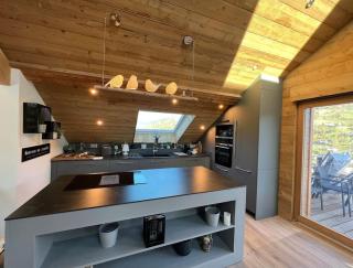 Splendide appartement style chalet classé 4 étoiles, terrasse face à la montagne - La Bresse - 1