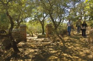 Montecruz Rural - 1