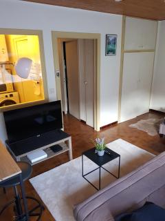 grand studio dans une résidence prive avec une cuisine et salle de bain séparé un parking gratuit et une magnifique vue sur les montagness - Marnaz - 0