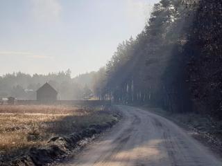 Stark House Gallery - Borsk - 6