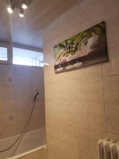 superbe appartement en résidence prive avec un parking prive - Scionzier - 2