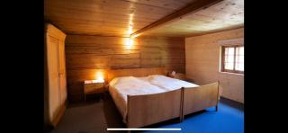 Alpenlodge Tgèsa Surrein Giassa10 - Sedrun - 3
